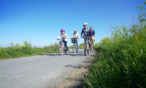 family cycling on tarka trail