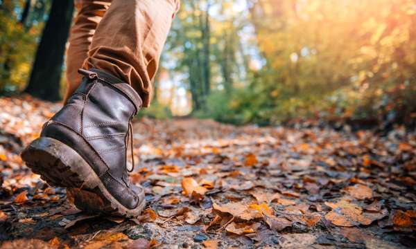 Walking boot Autumn