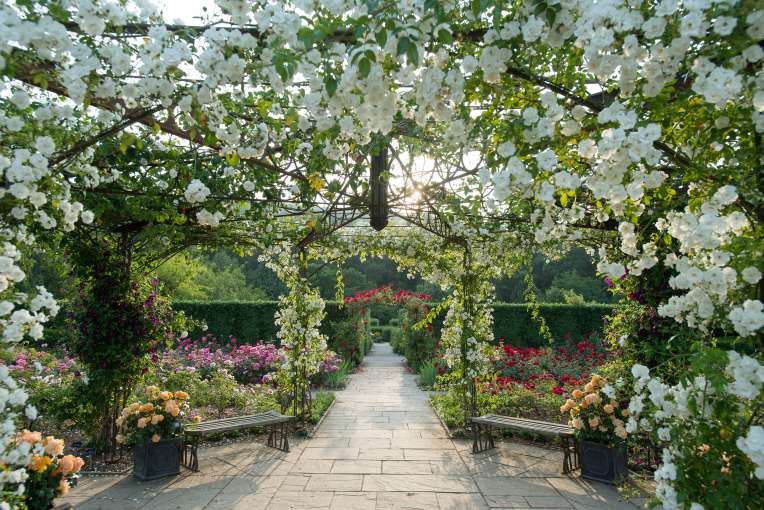 RHS Rosemoor Gardens