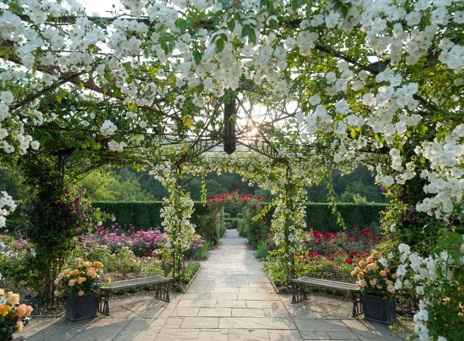 RHS Rosemoor Gardens