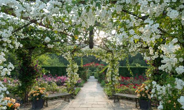 RHS Rosemoor Gardens